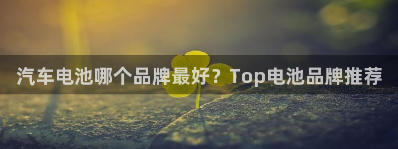 优发国际app官网下载安装苹果：汽车电池哪个品牌最好？Top电池品牌推荐